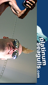 platinumseagulls.com